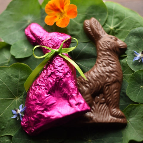 Milk Chocolate Hazelnut Bunny